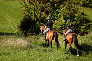 9685 County Rd 13 SE, Delano, MN 55328 - Photo 194