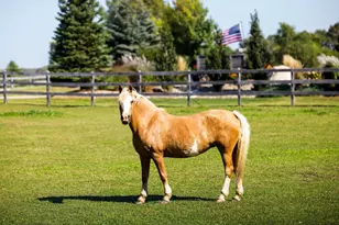9685 County Rd 13 SE, Delano, MN 55328 - Photo 210