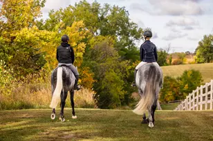 9685 County Rd 13 SE, Delano, MN 55328 - Photo 208