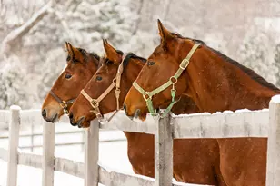 9685 County Rd 13 SE, Delano, MN 55328 - Photo 200