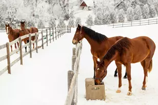9685 County Rd 13 SE, Delano, MN 55328 - Photo 210