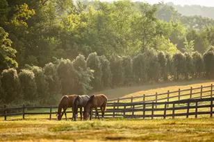 9685 County Rd 13 SE, Delano, MN 55328 - Photo 228