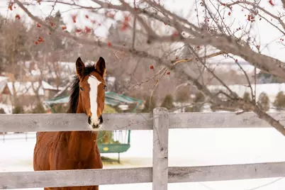 9685 County Road 13 SE, Delano, MN 55328 - Photo 232