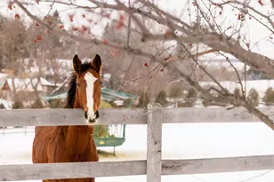 9685 County Rd 13 SE, Delano, MN 55328 - Photo 232