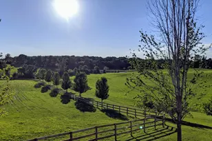 9685 County Rd 13 SE, Delano, MN 55328 - Photo 144