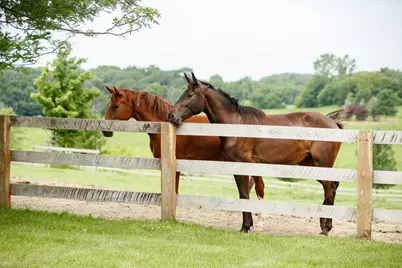 9685 County Road 13 SE, Delano, MN 55328 - Photo 198
