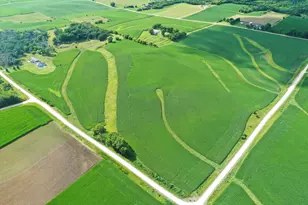 4459 130th St NW, Mazeppa, MN 55956 - Photo 20