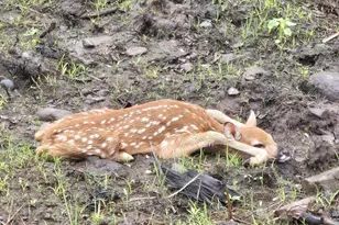 2594 Co Rd 8, Barnum, MN 55707 - Photo 86