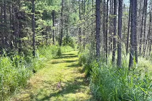 2594 Co Rd 8, Barnum, MN 55707 - Photo 64