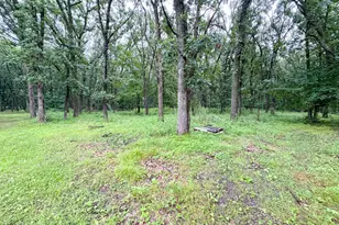 40112 244th St, Battle Lake, MN 56515 - Photo 44