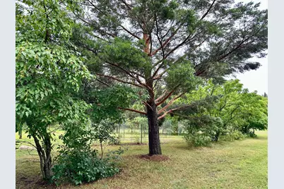 25703 County Road 125, Park Rapids, MN 56470 - Photo 36