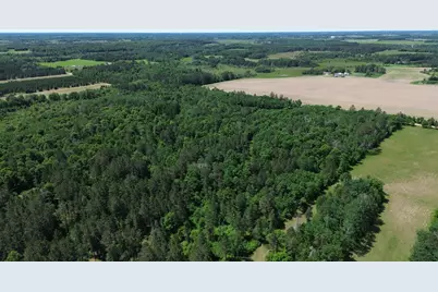 Xxxx 159th Avenue, Sebeka, MN 56477 - Photo 56