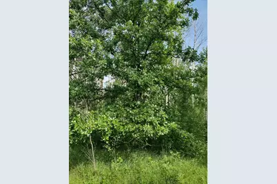 Xxxx 159th Avenue, Sebeka, MN 56477 - Photo 18