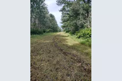 Xxxx 159th Avenue, Sebeka, MN 56477 - Photo 34