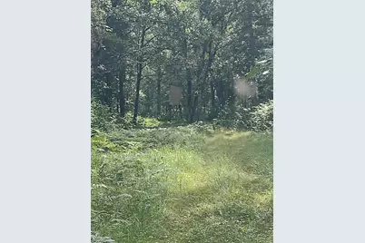 Xxxx 159th Avenue, Sebeka, MN 56477 - Photo 24