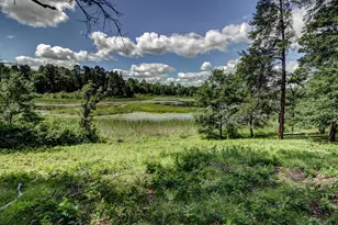 15727 Ester Dr, Park Rapids, MN 56470 - Photo 8