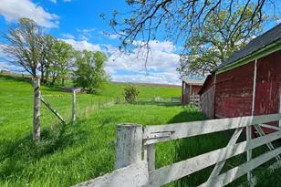 16128 331st Ave, Harmony, MN 55939 - Photo 36