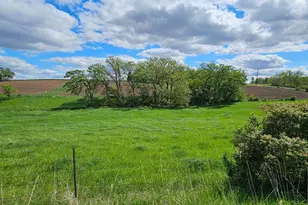 16128 331st Ave, Harmony, MN 55939 - Photo 18