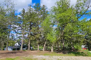 16128 331st Ave, Harmony, MN 55939 - Photo 24