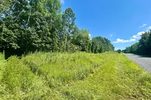 Lot 2 30th Ave, Amery, WI 54001 - Photo 1