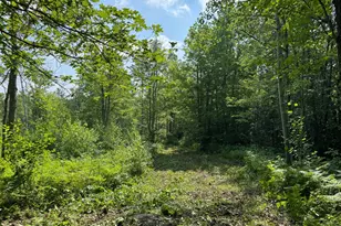 58Xxx State Hwy 23, Sandstone, MN 55072 - Photo 1