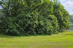 Tbd Bluff St, Clearwater, MN 55320 - Photo 1