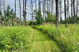 32625 593rd Ave, Warroad, MN 56763 - Photo 22