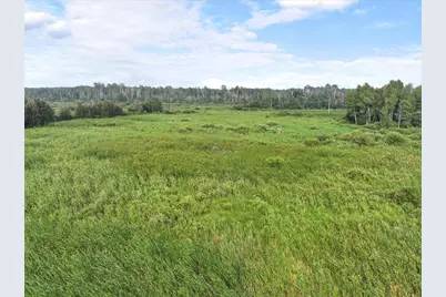 Tbd Bunnyhill Road, Sebeka, MN 56477 - Photo 8