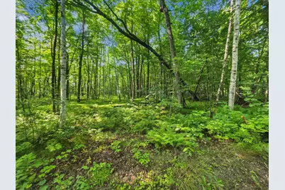 28017 303rd Place, Aitkin, MN 56431 - Photo 6