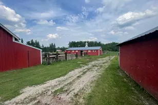 602 Main Ave, Shevlin, MN 56676 - Photo 1