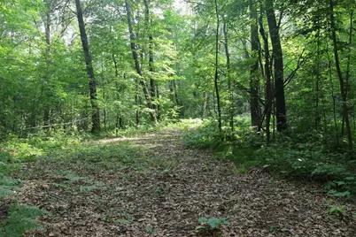 Lot 11 103rd Street, Frederic, WI 54837 - Photo 8