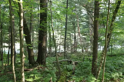 Lot 11 103rd Street, Frederic, WI 54837 - Photo 4