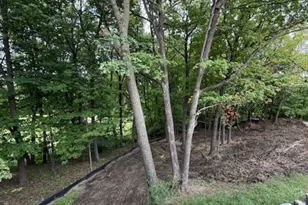 20381 Excelsior Blvd, Excelsior, MN 55331 - Photo 12