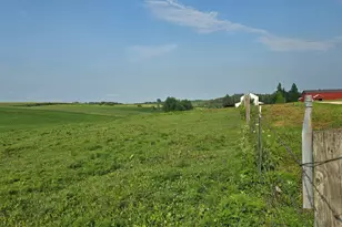 13130 County 21, Canton, MN 55922 - Photo 68