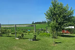 13130 County 21, Canton, MN 55922 - Photo 48