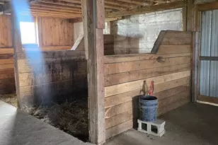 13130 County 21, Canton, MN 55922 - Photo 52