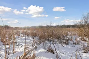 790 Woodduck Dr, Woodbury, MN 55125 - Photo 38