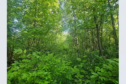 Tbd Lot 1 Bunny Lane, Crosby, MN 56441 - Photo 2