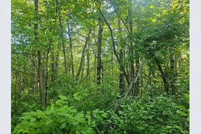 Tbd Lot 2 Bunny Lane, Crosby, MN 56441 - Photo 8