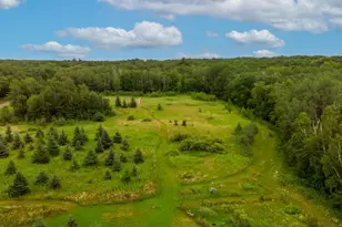 24555 Emstad Rd, Brainerd, MN 56401 - Photo 20