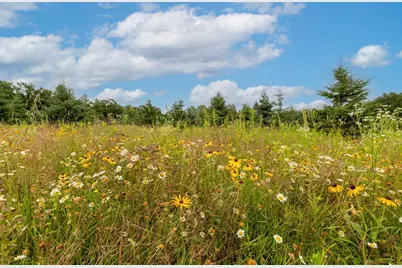 24555 Emstad Road, Brainerd, MN 56401 - Photo 30