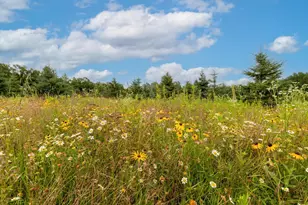 24555 Emstad Rd, Brainerd, MN 56401 - Photo 30