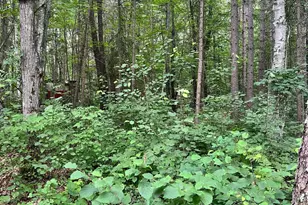 5020 Woodland Dr NW, Hackensack, MN 56452 - Photo 24