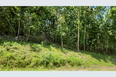 Xxxx Cedar Beach Drive NW, Oronoco, MN 55960 - Photo 2