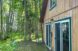 16779 Angle Shoreline, Angle Inlet, MN 56711 - Photo 22