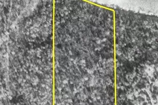 16779 Angle Shoreline, Angle Inlet, MN 56711 - Photo 52