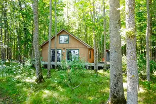 16779 Angle Shoreline, Angle Inlet, MN 56711 - Photo 18