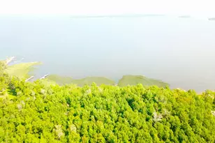 16779 Angle Shoreline, Angle Inlet, MN 56711 - Photo 42