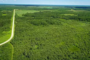 2965 Bankton Rd SW, Baudette, MN 56623 - Photo 28