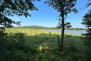 12038 Spring Road SW, Pillager, MN 56473 - Photo 10